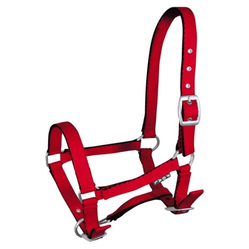 TROK.PL Kantar York zrebiecy Tobi czerwony