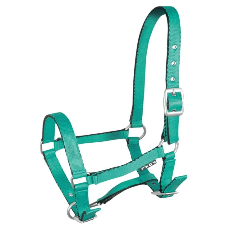 TROK.PL Kantar York zrebiecy Tobi jasnozielony