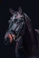 Ogłowie z lakierowanym nachrapnikiem HKM FLEUR black Cob