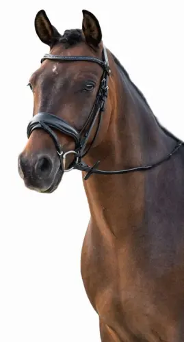 TROK.PL Ogłowie HKM Ira black 1