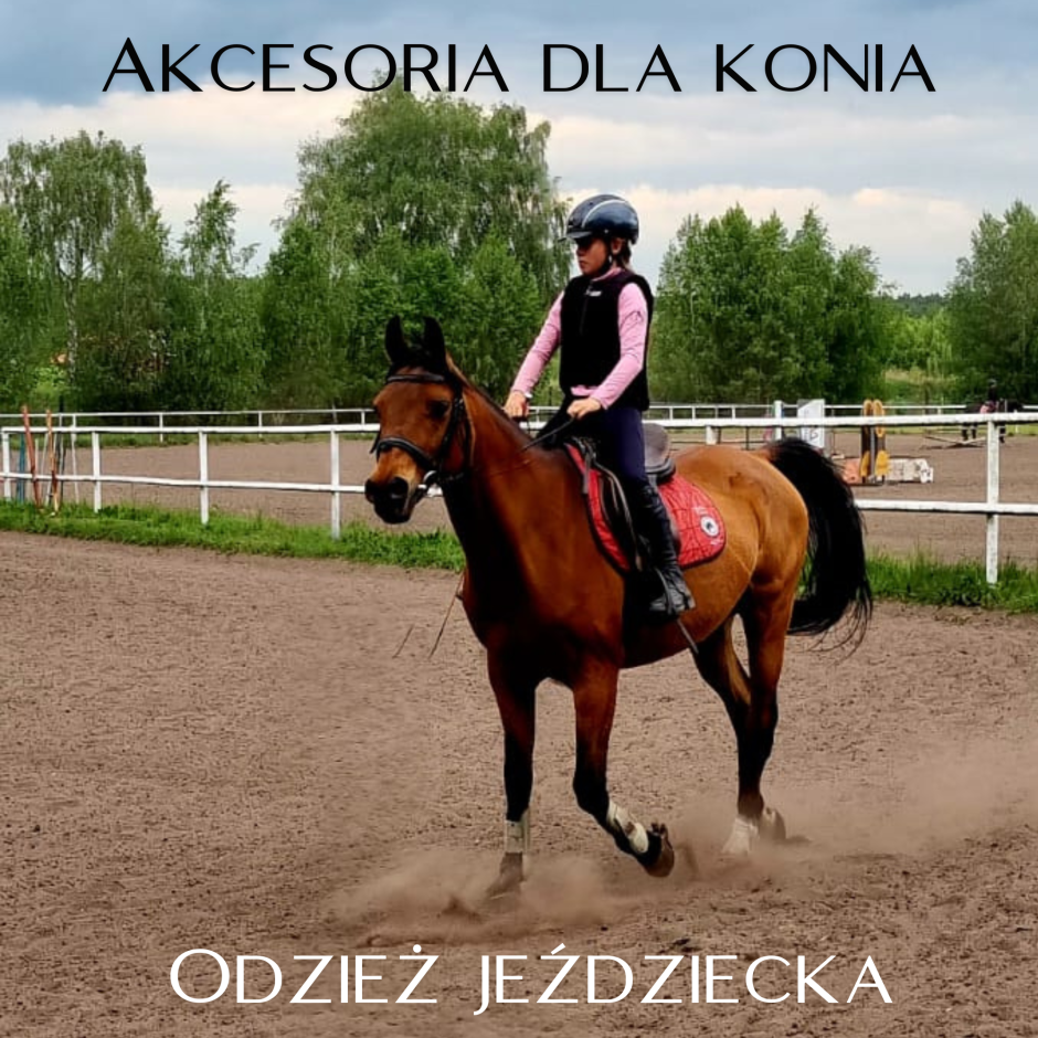 Jazda konna odzież jeździecka trok.pl